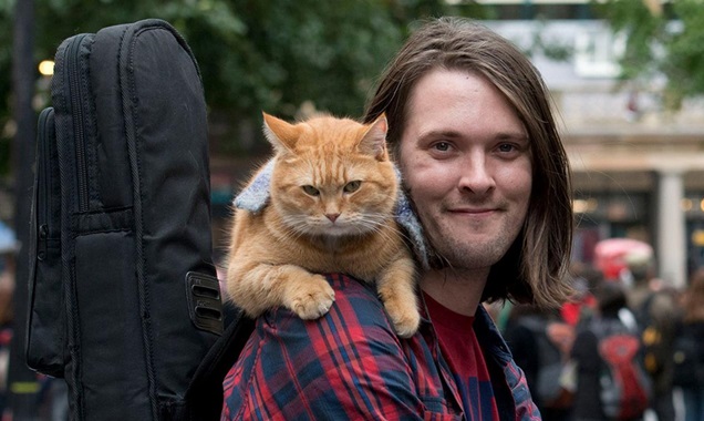 A Street Cat Named Bob เรื่องราวของนักดนตรี